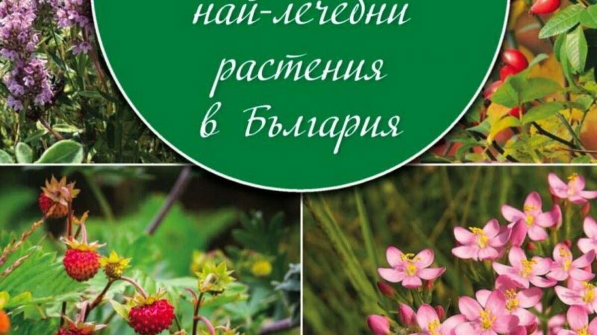 В "50-те най-лечебни растения в България" са представени най-популярните билки в страната. В "50-те най-лечебни растения в България" са представени най-популярните билки в страната.