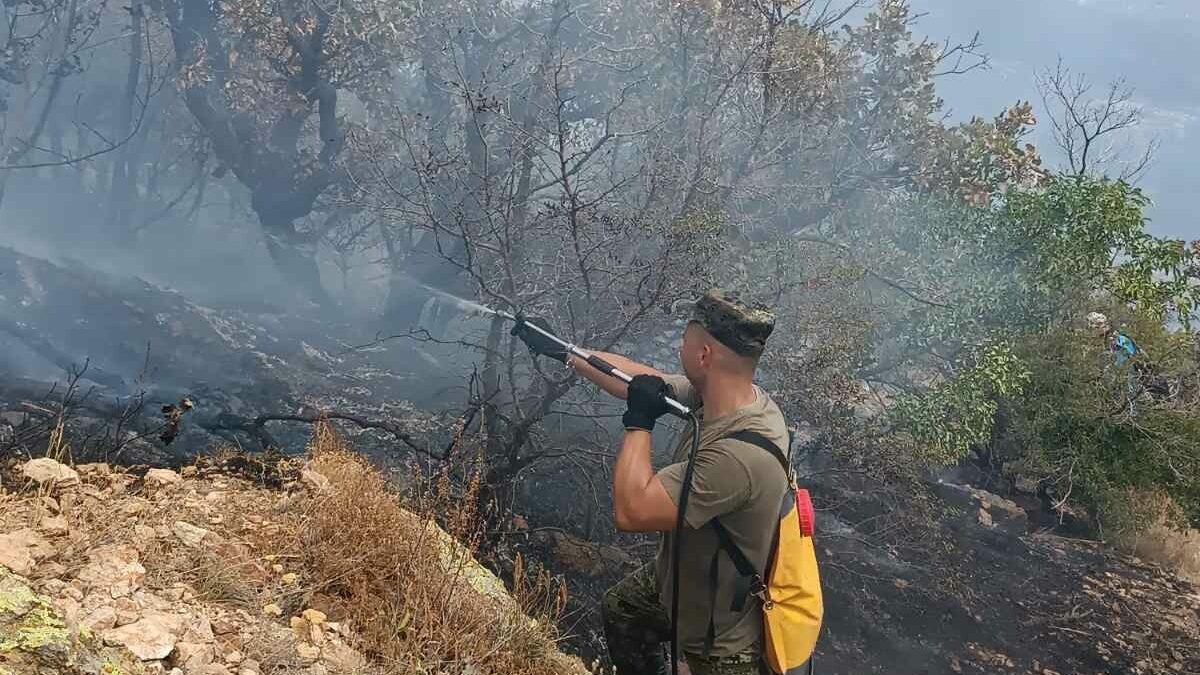 В гасенето на пожарите участват около 100 доброволци и 30 военни