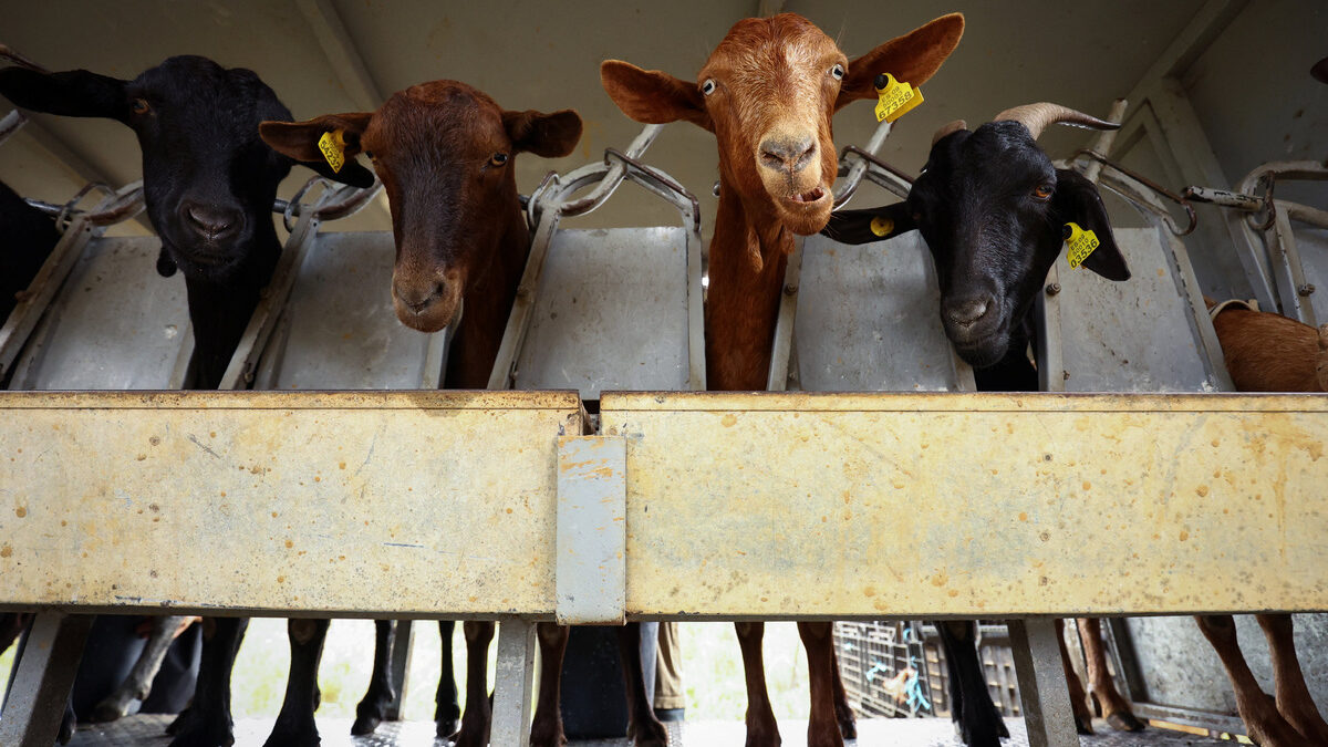 Китай удължи разследването за европейския внос на млечни продукти Китай удължи разследването за европейския внос на млечни продукти