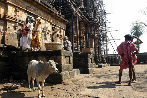Върховният съд в Индия разреши на Vedanta строителство на свещени хълмове