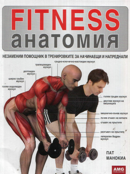 Fitness анатомия Fitness анатомия