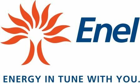 Enel обяви неочакван ръст на печалбата си през 2009 г.