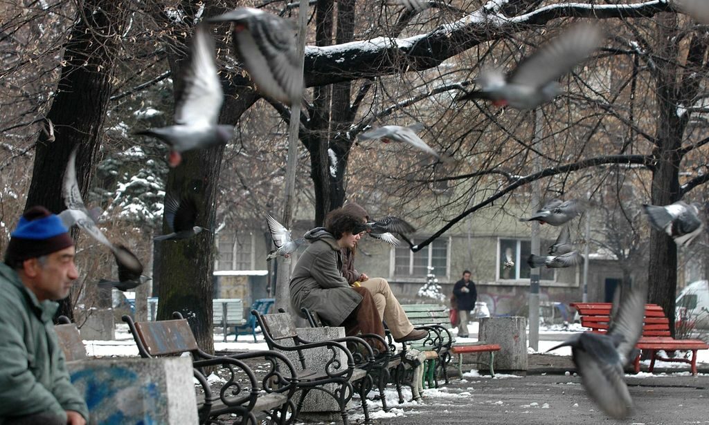 Наредбата за обществения ред забранява и пиенето на алкохол в паркове и градини.