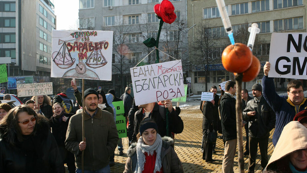Промените в Закона за генетично модифицираните организми предизвикаха протести от страна на редица сдружения