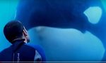 Атракцията SeaWorld се отказа през 2015г. от шоуто си с косатки