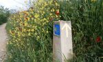 Маркировката на "Камино де Сантяго" се фалшифицира Маркировката на "Камино де Сантяго" се фалшифицира