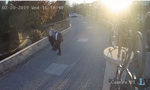 "Българите да не се месят", а Заев "няма да пречи" - записите, разтърсили Северна Македония "Българите да не се месят", а Заев "няма да пречи" - записите, разтърсили Северна Македония