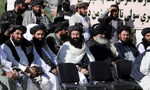 Талибаните забраниха отглеждането на мак за опиум Талибаните забраниха отглеждането на мак за опиум