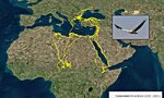 Български бракониери убиха застрашен египетски лешояд, преминал през 22 държави Български бракониери убиха застрашен египетски лешояд, преминал през 22 държави