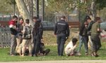 Хиляди мигранти в Сърбия се готвят за студената зима и търсят път към Западна Европа