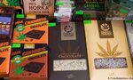 Употребата на марихуана в Чехия ще стане изцяло легална Употребата на марихуана в Чехия ще стане изцяло легална