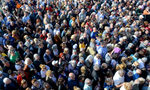 Като българи се самоопределят 84.6%, турците са 8.4%, ромите - 4.4% Като българи се самоопределят 84.6%, турците са 8.4%, ромите - 4.4%