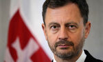 След пропаднал референдум управляващите в Словакия се договориха за предсрочни избори След пропаднал референдум управляващите в Словакия се договориха за предсрочни избори