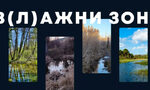 Как една влажна зона е полезна за биоразнообразието