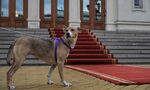 Реформи срещу правителство: законите, които парламентът трябва, но (на)дали ще приеме Реформи срещу правителство: законите, които парламентът трябва, но (на)дали ще приеме