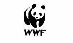 След "Грийнпийс": Русия обяви и WWF за нежелана организация След "Грийнпийс": Русия обяви и WWF за нежелана организация