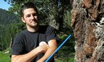 Доц. Момчил Панайотов: Градските дървета са защита срещу топлинните вълни