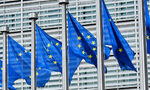Еврокомисията нае американка да разследва технологичните гиганти Еврокомисията нае американка да разследва технологичните гиганти