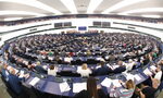 Европарламентът прие закона за природата въпреки съпротивата на дясноцентристите Европарламентът прие закона за природата въпреки съпротивата на дясноцентристите