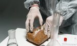 Бързият убиец: Фентанилът е отнел 10 живота само за седмица във Варна Бързият убиец: Фентанилът е отнел 10 живота само за седмица във Варна
