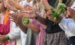 Други са двойкаджиите, не са децата ни Други са двойкаджиите, не са децата ни