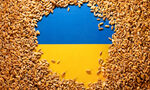 Повечето страни в ЕС са против запазване на забраната за украинско зърно в България и още 4 членки