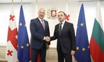 България иска да е част от проект с Грузия за пренос на електроенергия България иска да е част от проект с Грузия за пренос на електроенергия