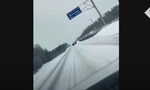 Видео показва как Русия помага на мигранти да пресекат границата с Финландия Видео показва как Русия помага на мигранти да пресекат границата с Финландия