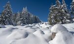 Повече от две денонощия няма ток на места в страната