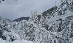 Eлектроразпределителните дружества не смятат, че дължат неустойки за липсата на ток заради снега Eлектроразпределителните дружества не смятат, че дължат неустойки за липсата на ток заради снега