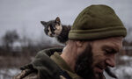 Украинските военни отрекоха руските твърдения, че Маринка е превзета Украинските военни отрекоха руските твърдения, че Маринка е превзета
