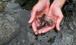 Еврокомисията ще съди България за водите и обяви две нови процедури