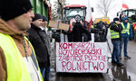 "Гладни, голи и трезви": Полша прикани еврокомисаря си да напусне заради земеделските протести "Гладни, голи и трезви": Полша прикани еврокомисаря си да напусне заради земеделските протести
