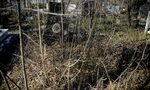 Започва мащабна акция по почистването на гробищата в София