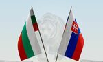 Защо България и Словакия са най-уязвими към дезинформация от Кремъл Защо България и Словакия са най-уязвими към дезинформация от Кремъл