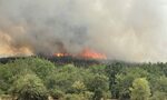 Пожарът край Хисаря наложи затварянето на път, горят около 2000 декара Пожарът край Хисаря наложи затварянето на път, горят около 2000 декара