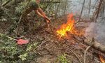 България поиска от Турция 4 булдозера, два хеликоптера и друга техника за пожарите