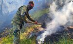 Пожар тръгна от военния полигон "Корен", гори край село Брягово Пожар тръгна от военния полигон "Корен", гори край село Брягово