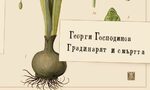 "Градинарят и смъртта" - роман елегия, роман градина