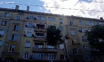 С полиция започна премахването на големите дървета по столичната ул. "Опълченска" (видео) С полиция започна премахването на големите дървета по столичната ул. "Опълченска" (видео)