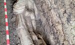 Археолозите откриха още една мраморна статуя в Хераклея Синтика Археолозите откриха още една мраморна статуя в Хераклея Синтика