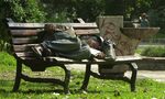 Предизборната кампания: тихо, да не събудим избирателите!