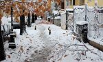 В 105 населени места все още няма ток, жители излязоха на протест В 105 населени места все още няма ток, жители излязоха на протест