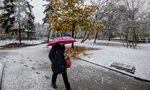 Между минус 20 и плюс 15 ще варират температурите през януари