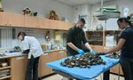 Малшанс: Какво причини масовия мор на птици край Копривщица