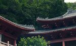 Какво трябва да знаете, ако искате да учите в университет в Азия Какво трябва да знаете, ако искате да учите в университет в Азия