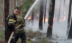 Рекорден брой пожари: пожарната отчете най-тежките 24 часа от началото на лятото Рекорден брой пожари: пожарната отчете най-тежките 24 часа от началото на лятото