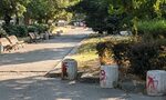 Общината обмисля да въведе първия парк без отпадъци Общината обмисля да въведе първия парк без отпадъци
