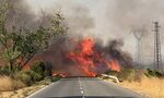 България иска помощ по въздух от Европа за гасене на пожарите България иска помощ по въздух от Европа за гасене на пожарите
