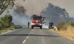 Пожарът в Тополовградско е овладян към момента Пожарът в Тополовградско е овладян към момента